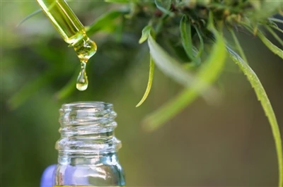 CBD vs THC: Gach rud a theastaíonn uait a bheith ar eolas agat