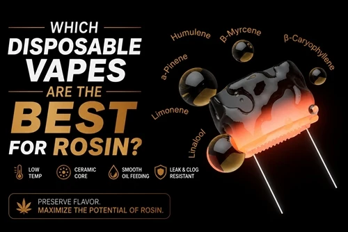 Cad iad na Vapes Indiúscartha Is Fearr Do Rosin?